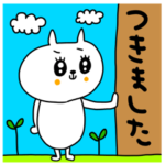 riekimのゆるーい白ネコさんのスタンプ
