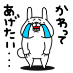 全力うさぎ過保護編