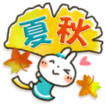 夏～秋「白うさぎさん」日常パック