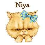 すーちゃんとゆかいな仲間たち