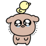 シュールなミニトイプードル