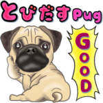 飛び出すパグ犬