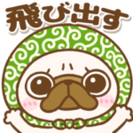 飛び出す♡パグちゃんず