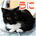 ミヌエットのうにスタンプ