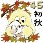 シーズー犬 45『初秋』