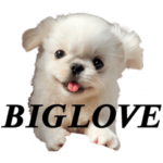 ムーチョの世界⠀