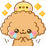 大人カラフル♡ふわもこトイプー