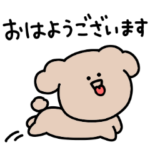 シュールなミニトイプードル