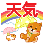 柴犬「ムサシ」３０　天気