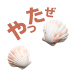 イタヤガイシリーズ（文字入り）