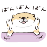  しばんばん×選べるニュース