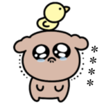 ミニトイプードル☆カスタム