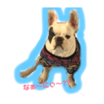 だいすきっ！ゴジラ！