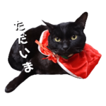 クリスマスごじらとおいどん