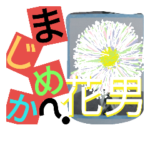 きれいなハナ言葉