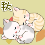 ベビーにゃんこの秋