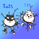 シュナウザー こてつ & まめきち