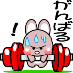 おはうさ再び-5