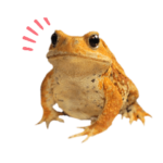 カエル  フレンズ