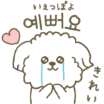 マルチーズの韓国語