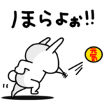 全力うさぎ元気いっぱい編