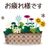 動く!大人かわいいお花2-敬語丁寧語-夏Ver