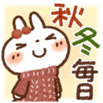 毎日便利 白うさぎさん