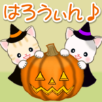 ベビーにゃんこのハロウィン♪