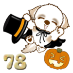 シーズー犬 78『ハロウィン』