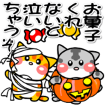 可愛いにゃんこ達小さな秋