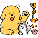  まめきちまめこ×ライブドアブログ