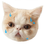 おとこもちまる