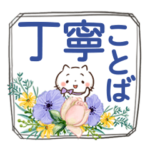 ほんわかさん13