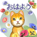 飛び出す 花と猫