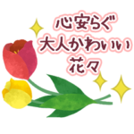 動く！心安らぐ大人かわいい花々