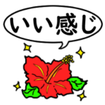 ハイビスカスの花（連絡用）