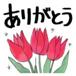 毎日使う言葉＊水彩の花＊大きな文字