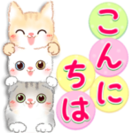 まんまるお目め♡ミーちゃん