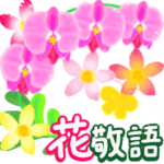 花 敬 語 ♡