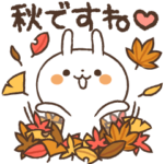 うさぎさんの秋の生活