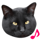 明るい黒猫♪