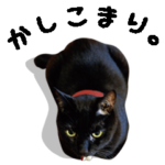 黒猫ノロのちまちまスタンプ