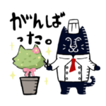 黒猫シェフのヴィレさん第3弾！