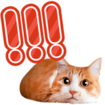 動く猫写真のデカ文字スタンプ♪敬語あり♪