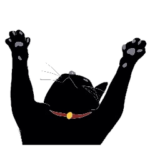 黒猫の大ちゃん第2弾