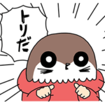 ワカルトリのゆる〜い日常