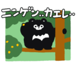 動く！野生のまーくん