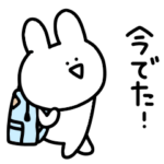 シュールでゆるすぎるミニうさぎ