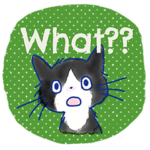 ゆかいな猫達が英語で伝えるスタンプ