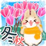 秋冬♡ほっこりうさちゃん